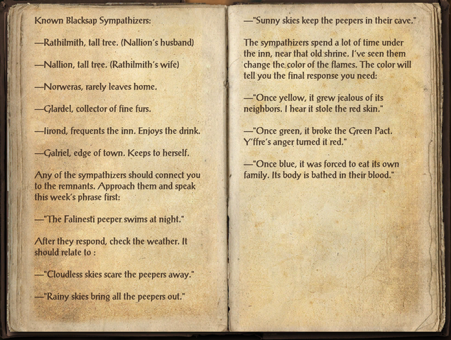 File:Iirdel's Journal.png