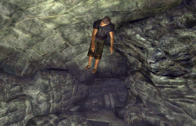 File:Cheydinhal Recommendation Drowned.png