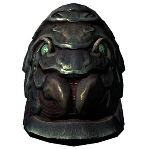 File:DGShellbugHelmet.png