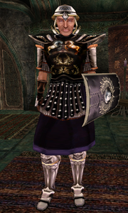 Guard Captain