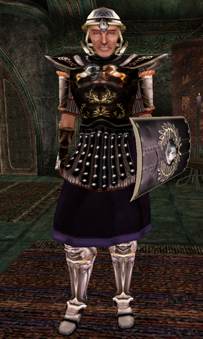 File:Guard Captain.png