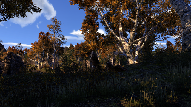 File:The Rift (Online)Sabrecats.png