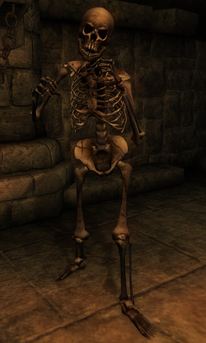 File:Beast oblivion skeleton.png