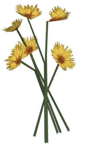 File:BouquetFlowers Ob.png