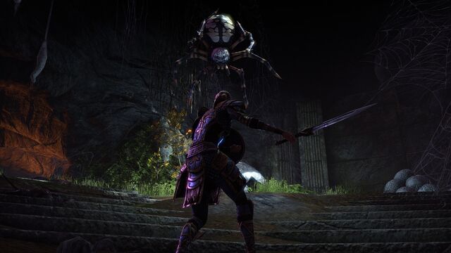 File:Spider Battle.jpg