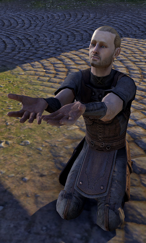 File:Tetra.png