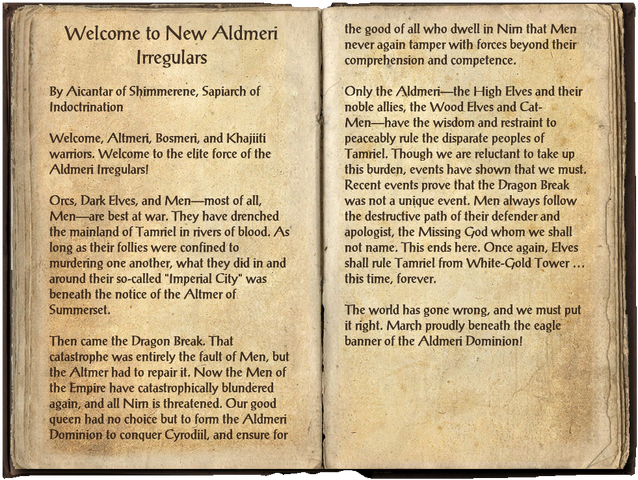 File:Welcome to New Aldmeri Irregulars.png