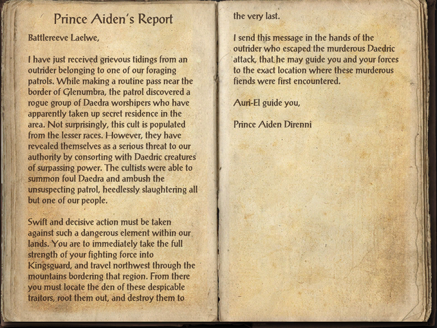 File:Prince Aiden's Report.png