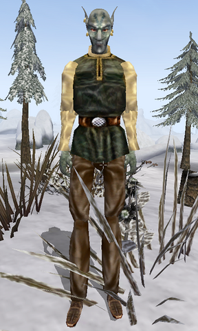File:Tinos Drothan Morrowind.png