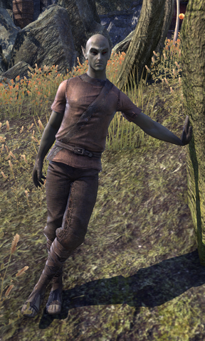 File:Apprentice Savur.png