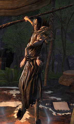 File:Creature- Hag (Online).png