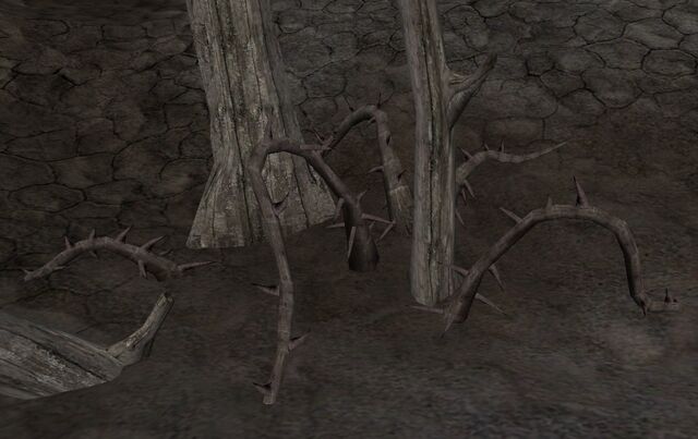 File:Trama Root.jpg