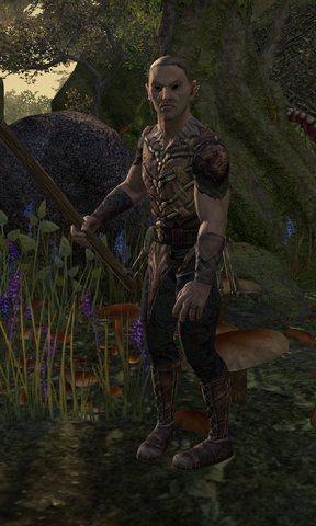 File:Dirchanor.png