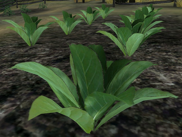 File:Tobacco.png