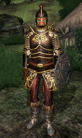 File:Blackwood Company Guard WatersEdge2.png