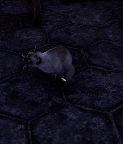 File:Moonstone (Cat).png