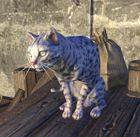 File:Captain Crustywhiskers.png