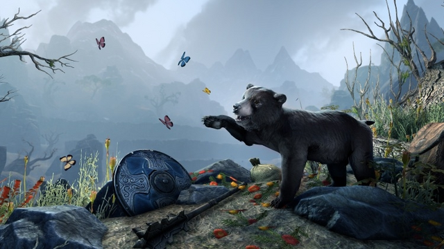 File:Black Bear Cub.png