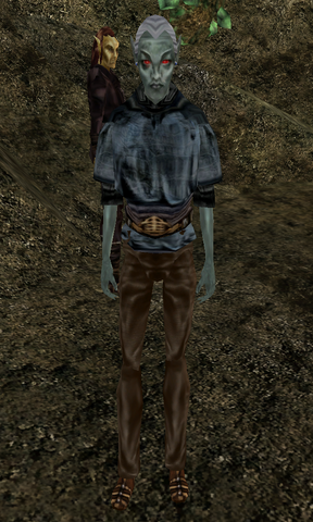 File:Brelyna Andoril.png