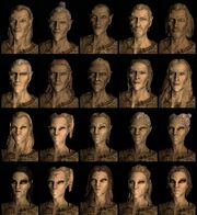Altmerzy (Skyrim)