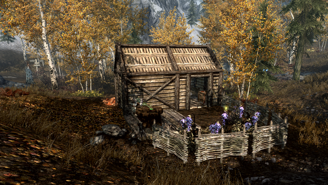 File:TESV Alchemists Shack Rear.png