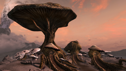 Tel Mithryn.png