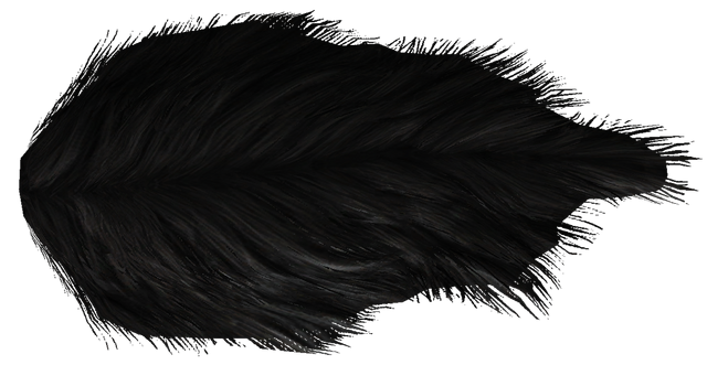 File:Werewolf Pelt.png