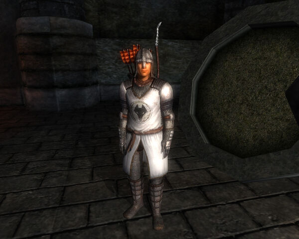 File:Tcoc kvatch guard.jpg