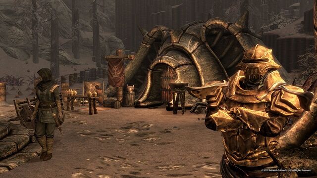 File:Dragonborn Screenshots 9.jpg