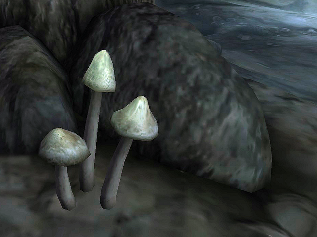 File:Cairn Bolete Cap.png