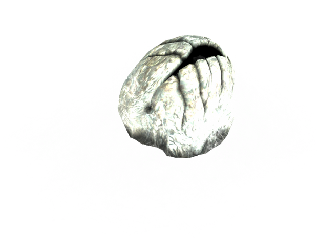 File:Skyrim-egg-sac.png