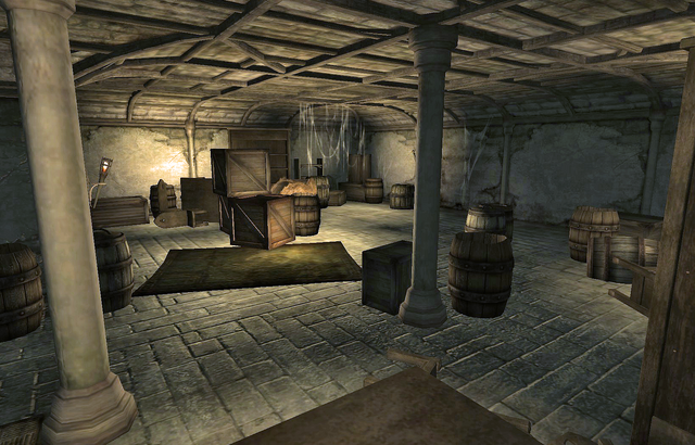 File:Castle LeyawiinBasement.png