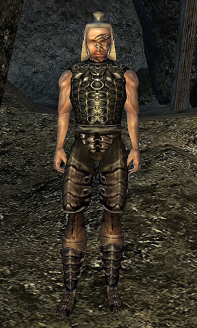 File:Maering.png