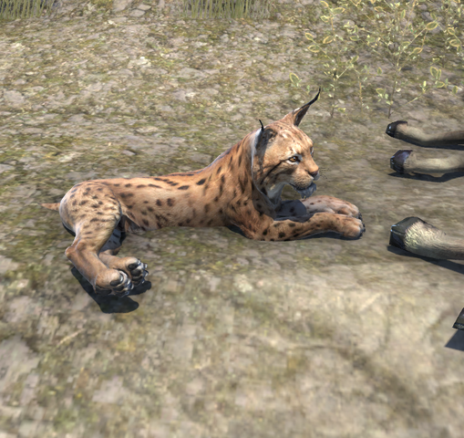 File:Lynx (Online).png