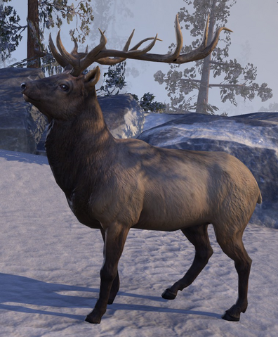 File:Elk (Online).png