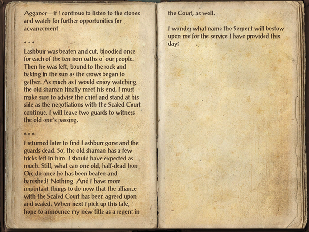 File:Agganor's Journal 2.png