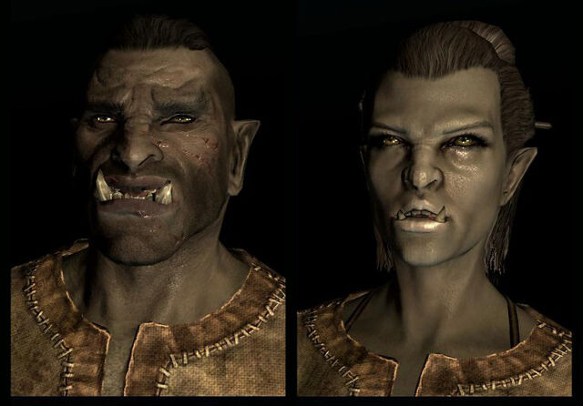 File:Orcs Skyrim presets CROP.jpg