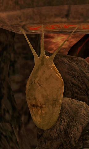 File:FleshyPod02.png