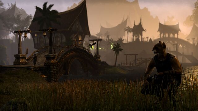 File:Khajiit (Online).jpg