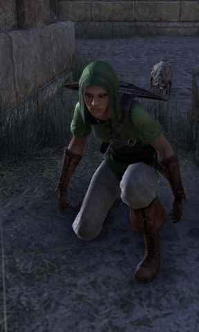 File:Hazanah.png