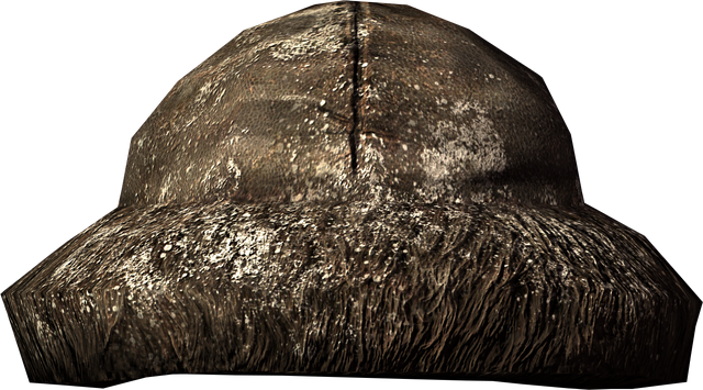 File:Skaal Hat.png