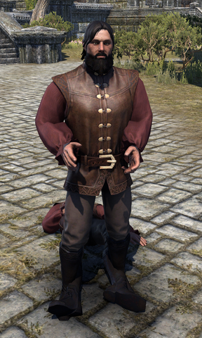 File:Nompar Stieve.png