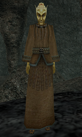 File:Qorwynn.png