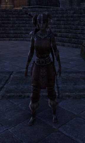 File:Archer Dunmer.jpeg