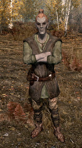 File:Dravin Llanith.png