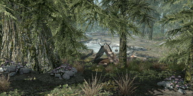 File:Alchemist's Camp2.png