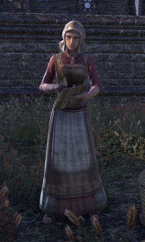 File:Aldi Winterblade.png