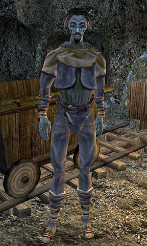 File:Rernel Arano.png