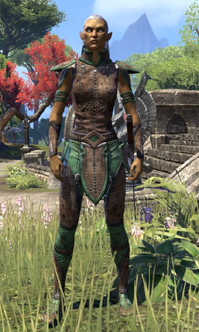 File:Skywatch Warden.png