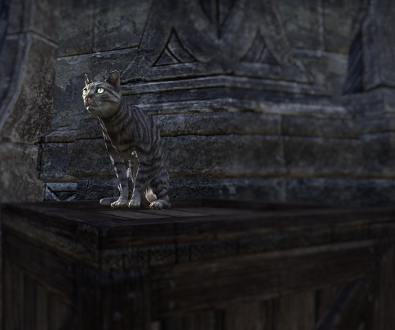 File:Azura Cat.png